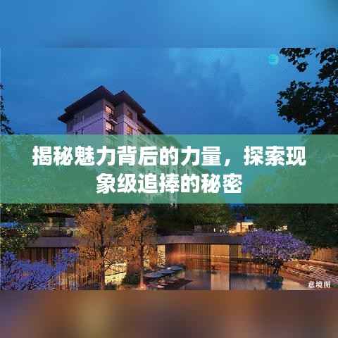 揭秘魅力背后的力量,探索现象级追捧的秘密