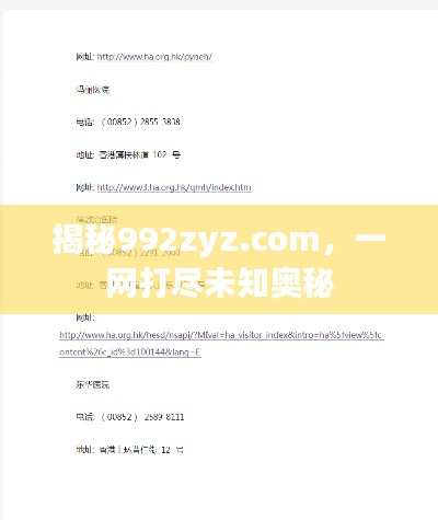 揭秘992zyz.com,一网打尽未知奥秘