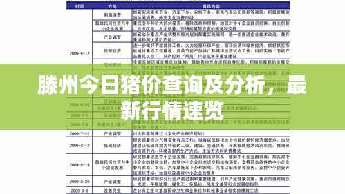 滕州今日猪价查询及分析，最新行情速览