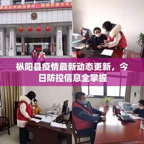 枞阳县疫情最新动态更新，今日防控信息全掌握