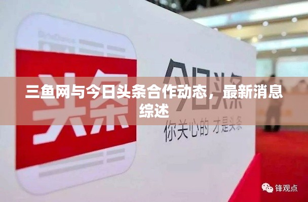 三鱼网与今日头条合作动态,最新消息综述