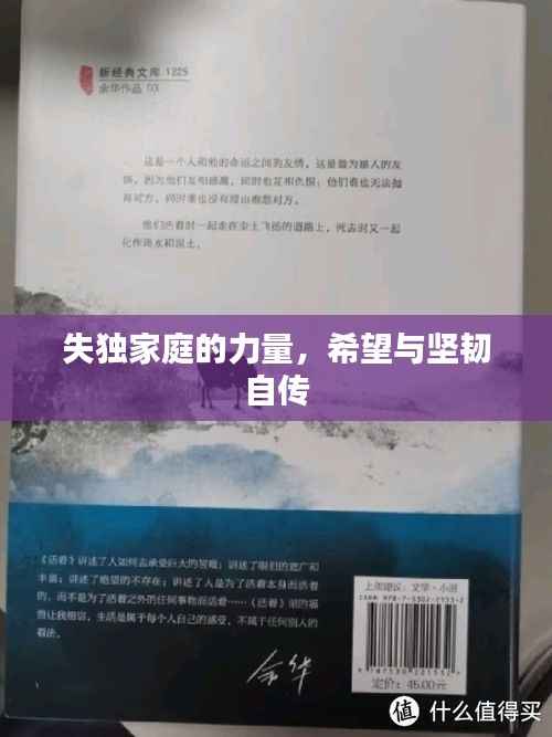 失独家庭的力量,希望与坚韧自传