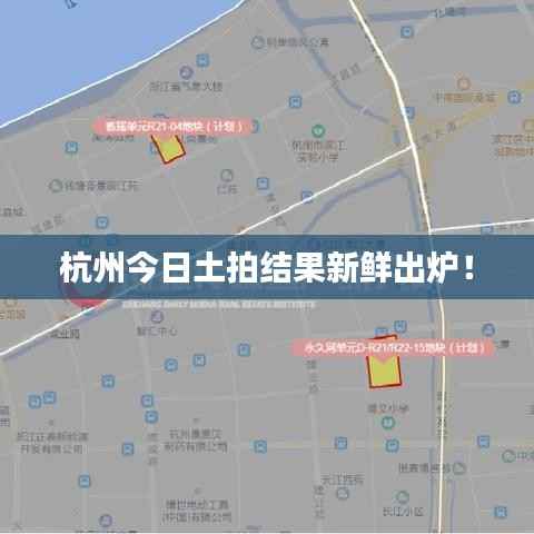 杭州今日土拍结果新鲜出炉!