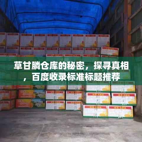 草甘膦仓库的秘密，探寻真相，百度收录标准标题推荐