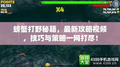 螃蟹打野秘籍，最新攻略视频，技巧与策略一网打尽！