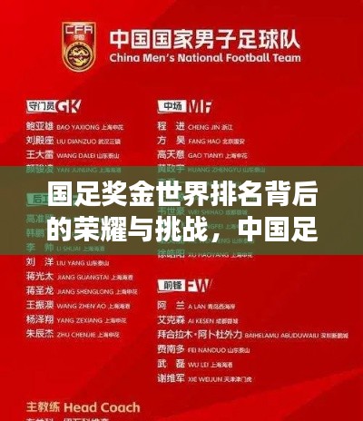 国足奖金世界排名背后的荣耀与挑战,中国足球的崛起与未来展望