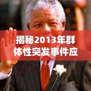 揭秘2013年群体性突发事件应对策略，深度解析与应对之道