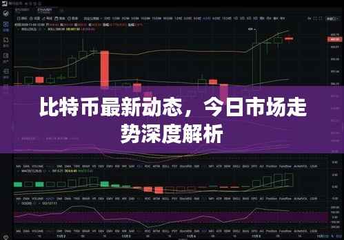 比特币最新动态,今日市场走势深度解析