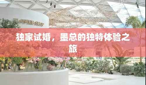 独家试婚,墨总的独特体验之旅