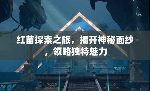 红苗探索之旅，揭开神秘面纱，领略独特魅力