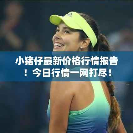 小猪仔最新价格行情报告！今日行情一网打尽！