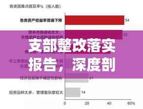 支部整改落实报告,深度剖析问题,精准施策见成效