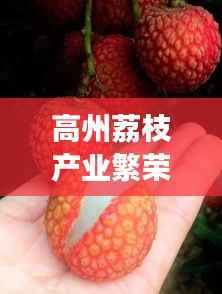 高州荔枝产业繁荣,文化魅力独特,新闻头条聚焦荔枝发展