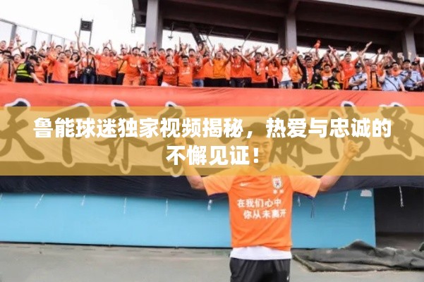 鲁能球迷独家视频揭秘,热爱与忠诚的不懈见证!