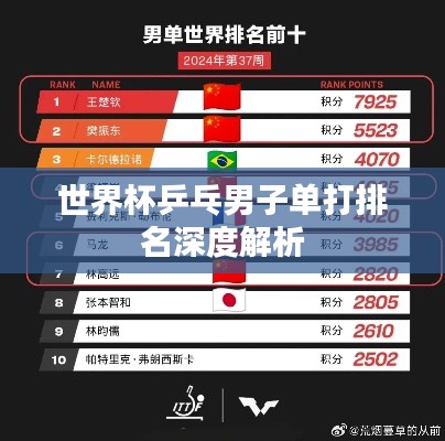 世界杯乒乓男子单打排名深度解析